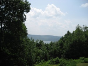 img_1334