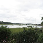 Cove at Wellfleet