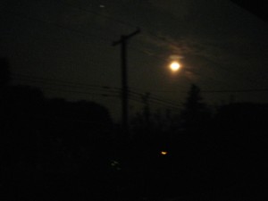 Endicott Moon